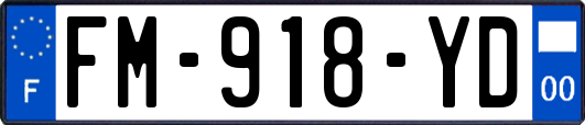 FM-918-YD
