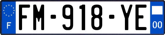 FM-918-YE