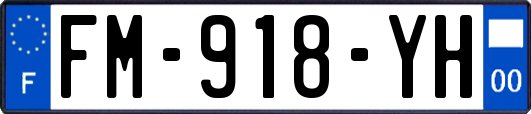 FM-918-YH