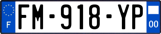 FM-918-YP