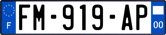 FM-919-AP