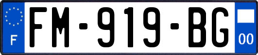 FM-919-BG