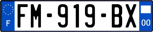 FM-919-BX