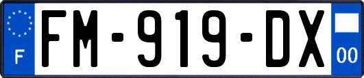 FM-919-DX
