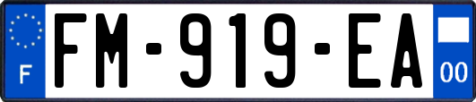 FM-919-EA