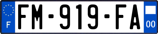 FM-919-FA