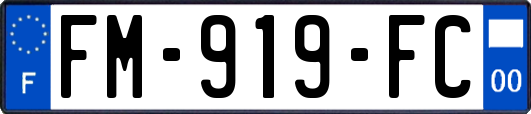 FM-919-FC