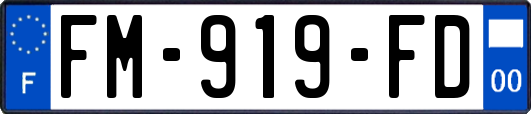 FM-919-FD