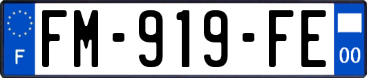 FM-919-FE
