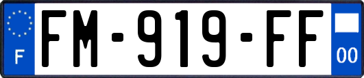 FM-919-FF