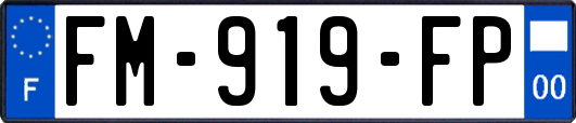 FM-919-FP