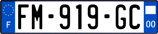FM-919-GC