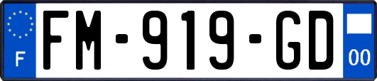 FM-919-GD