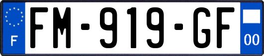FM-919-GF