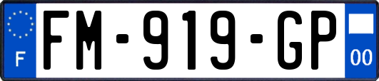FM-919-GP