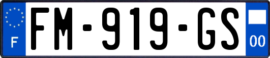 FM-919-GS