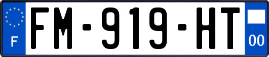 FM-919-HT