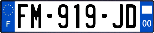 FM-919-JD
