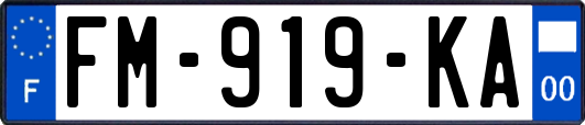 FM-919-KA