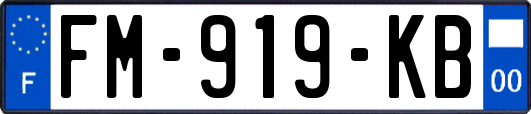 FM-919-KB