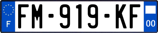 FM-919-KF