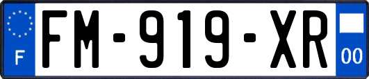 FM-919-XR