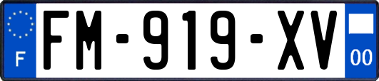 FM-919-XV