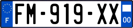 FM-919-XX