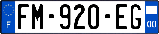 FM-920-EG