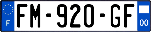 FM-920-GF