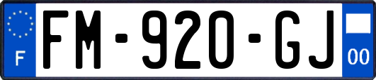 FM-920-GJ