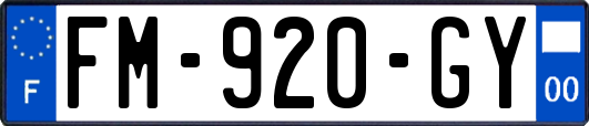 FM-920-GY