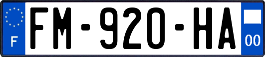 FM-920-HA