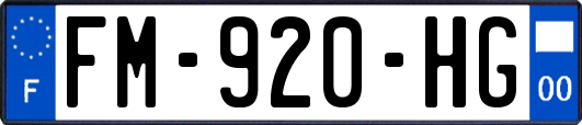FM-920-HG