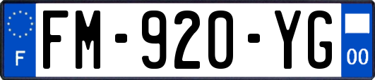 FM-920-YG