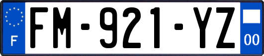 FM-921-YZ