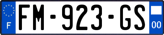 FM-923-GS