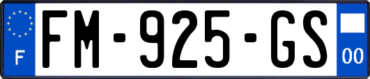 FM-925-GS