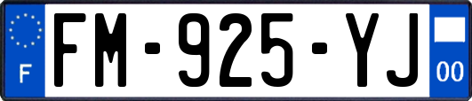 FM-925-YJ