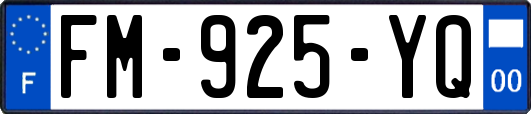 FM-925-YQ