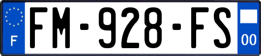 FM-928-FS