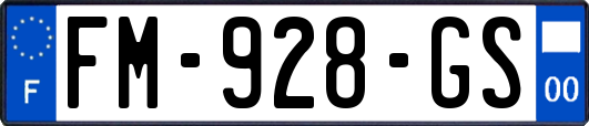 FM-928-GS