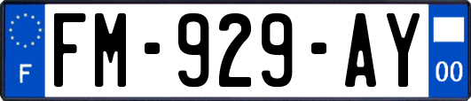 FM-929-AY