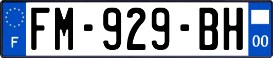 FM-929-BH