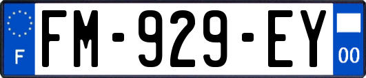 FM-929-EY
