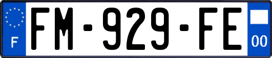 FM-929-FE