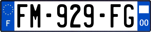 FM-929-FG