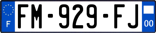 FM-929-FJ
