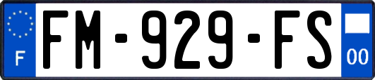 FM-929-FS