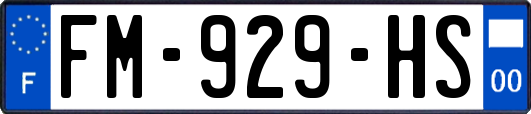 FM-929-HS
